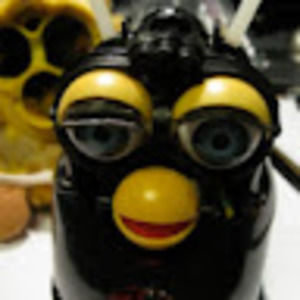 Meet your Posher, Allanah